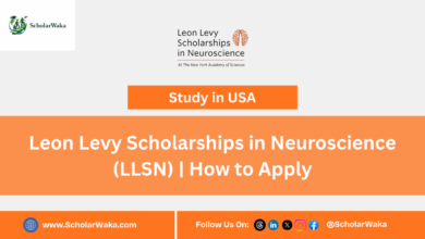 Leon Levy Scholarships in Neuroscience (LLSN) | How to Apply - ScholarWaka