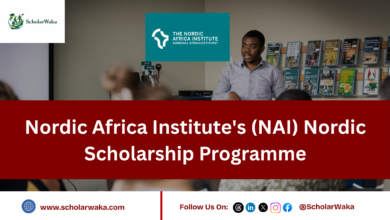 Nordic Africa Institute's (NAI) Nordic Scholarship Programme - ScholarWaka