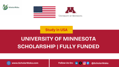 University of Minnesota Scholarship 2027 in USA | Fully Funded - ScholarWaka