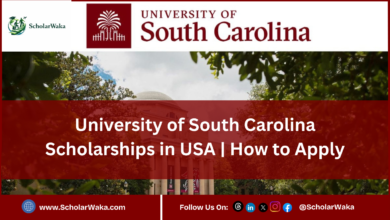 University of South Carolina Scholarships in USA - ScholarWaka
