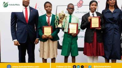 UBA Foundation National Essay Competition 2026 For Nigerian Students - ScholarWaka