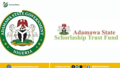 Adamawa State Scholarship Trust Fund (Turkey Scholarship) 2026/2027 | How to Apply - ScholarWaka