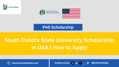South Dakota State University Scholarship 2027 in USA | How to Apply - ScholarWaka