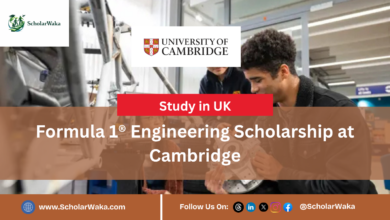 Formula 1® Engineering Scholarship at Cambridge - Scholarwaka
