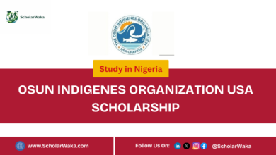 Osun Indigenes Organization USA Scholarship 2026/27 | How to Apply - ScholarWaka