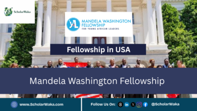 Mandela Washington Fellowship | Fully Funded - ScholarWaka