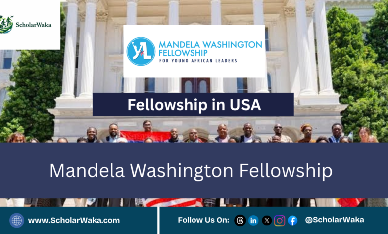 Mandela Washington Fellowship | Fully Funded - ScholarWaka