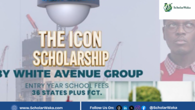 The Icon Scholarship by White Avenue Group | How to Apply - ScholarWaka