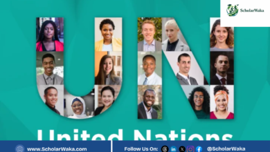 UN Young Professionals Programme (YPP) | How to Apply - ScholarWaka