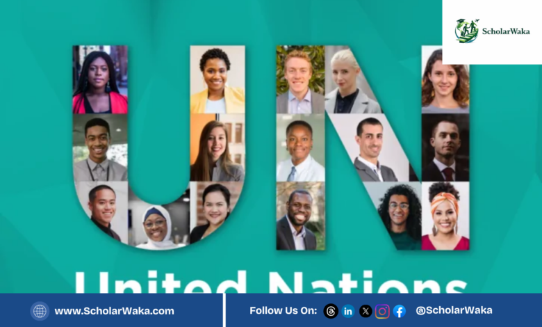 UN Young Professionals Programme (YPP) | How to Apply - ScholarWaka