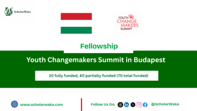 Youth Changemakers Summit in Budapest | Fully Funded - ScholarWaka