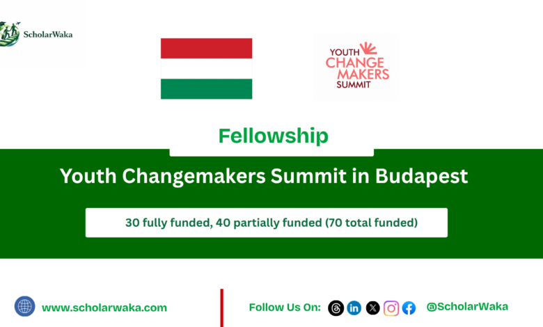 Youth Changemakers Summit in Budapest | Fully Funded - ScholarWaka