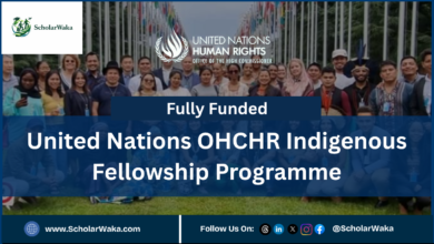 United Nations OHCHR Indigenous Fellowship Programme (Fully Funded) - ScholarWaka