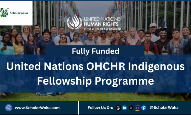 United Nations OHCHR Indigenous Fellowship Programme (Fully Funded) - ScholarWaka