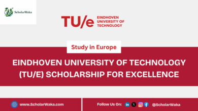 Eindhoven University of Technology (TU/e) Scholarship for Excellence | How to Apply - ScholarWaka