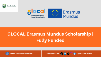 GLOCAL Erasmus Mundus Scholarship 2027 | Fully Funded - ScholarWaka