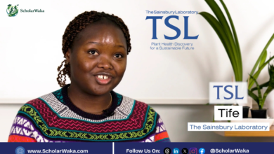 David Sainsbury MSc Scholarship 2027 at UEA in the UK - ScholarWaka