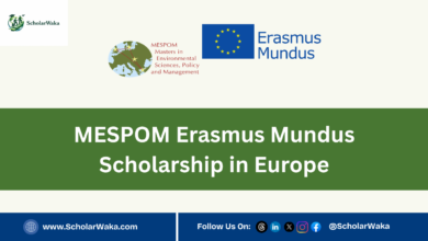 MESPOM Erasmus Mundus Scholarship 2027 in Europe - ScholarWaka