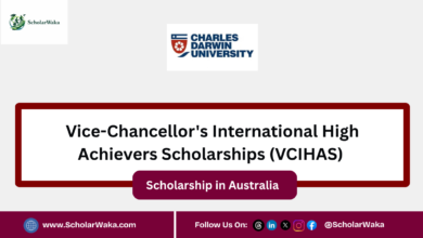 Vice-Chancellor's International High Achievers Scholarships (VCIHAS) - ScholarWaka