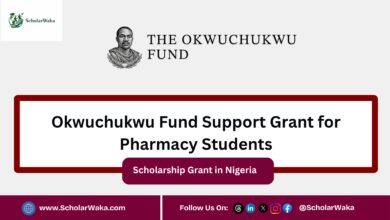 Okwuchukwu Fund Support Grant for Pharmacy Students - ScholarWaka