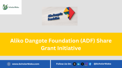 Aliko Dangote Foundation (ADF) Share Grant Initiative - ScholarWaka