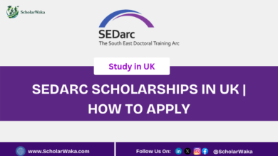 SEDarc Scholarships in UK 2027/2028 | How To Apply - ScholarWaka