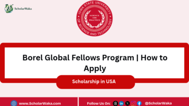 Borel Global Fellows Program at Iowa State, USA | How to Apply - ScholarWaka