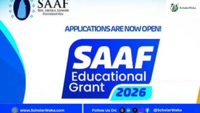Senator Abiola Ajimobi Foundation (SAAF) Educational Grant 2026 for Nigerian Students - ScholarWaka